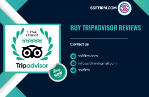 Buy TripAdvisor Reviews